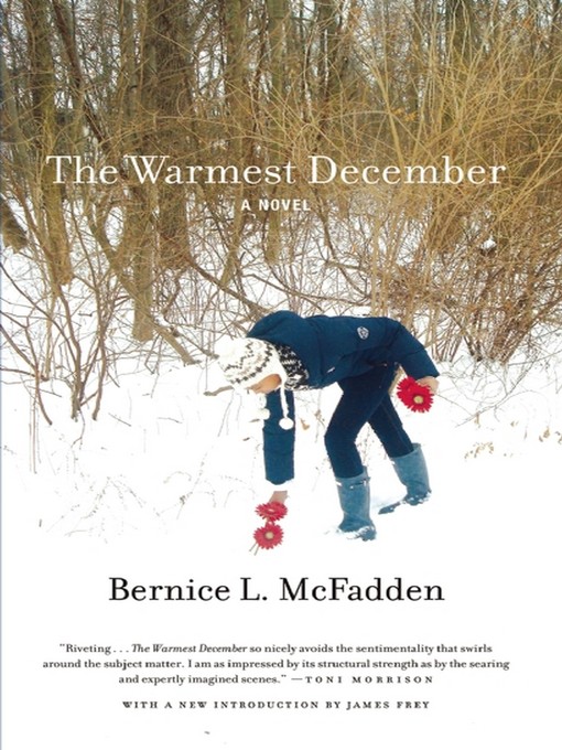 Title details for The Warmest December by Bernice L. McFadden - Wait list